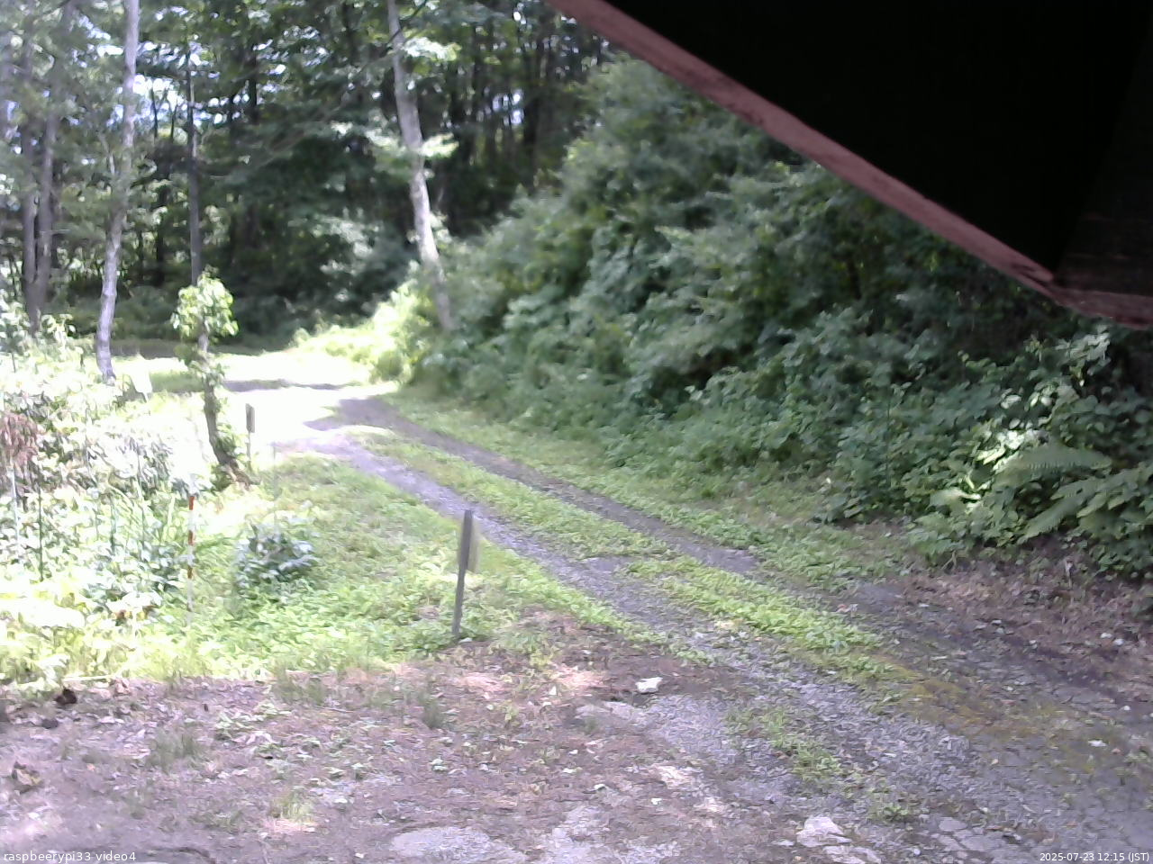 長野県菅平高原 ゆたか山荘 東側(坂下) 2025/07/23 12:15