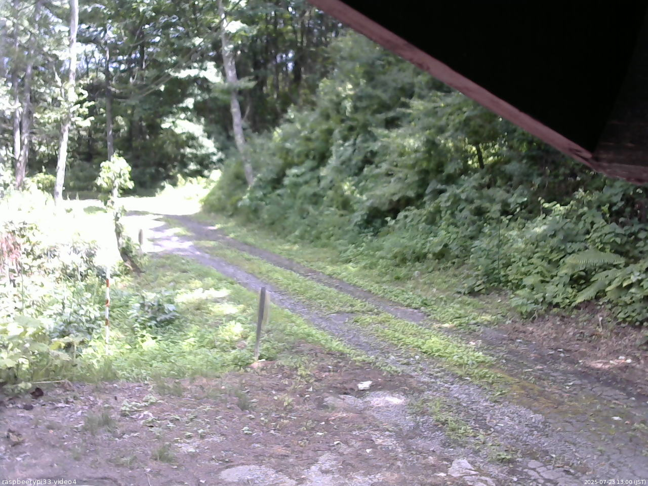 長野県菅平高原 ゆたか山荘 東側(坂下) 2025/07/23 13:00