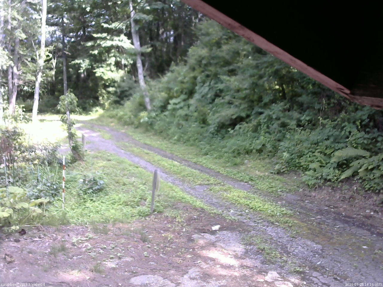 長野県菅平高原 ゆたか山荘 東側(坂下) 2025/07/23 14:15