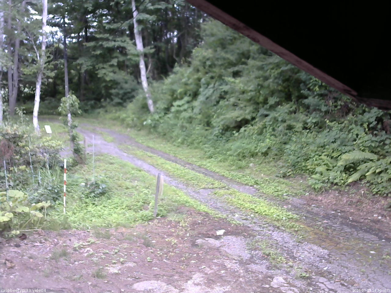 長野県菅平高原 ゆたか山荘 東側(坂下) 2025/07/23 14:30