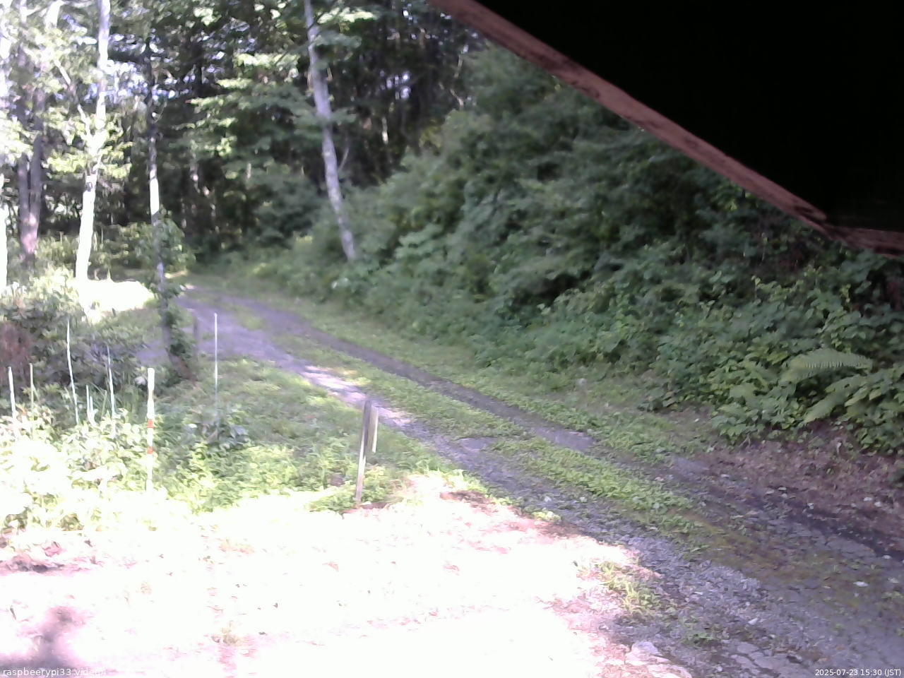 長野県菅平高原 ゆたか山荘 東側(坂下) 2025/07/23 15:30