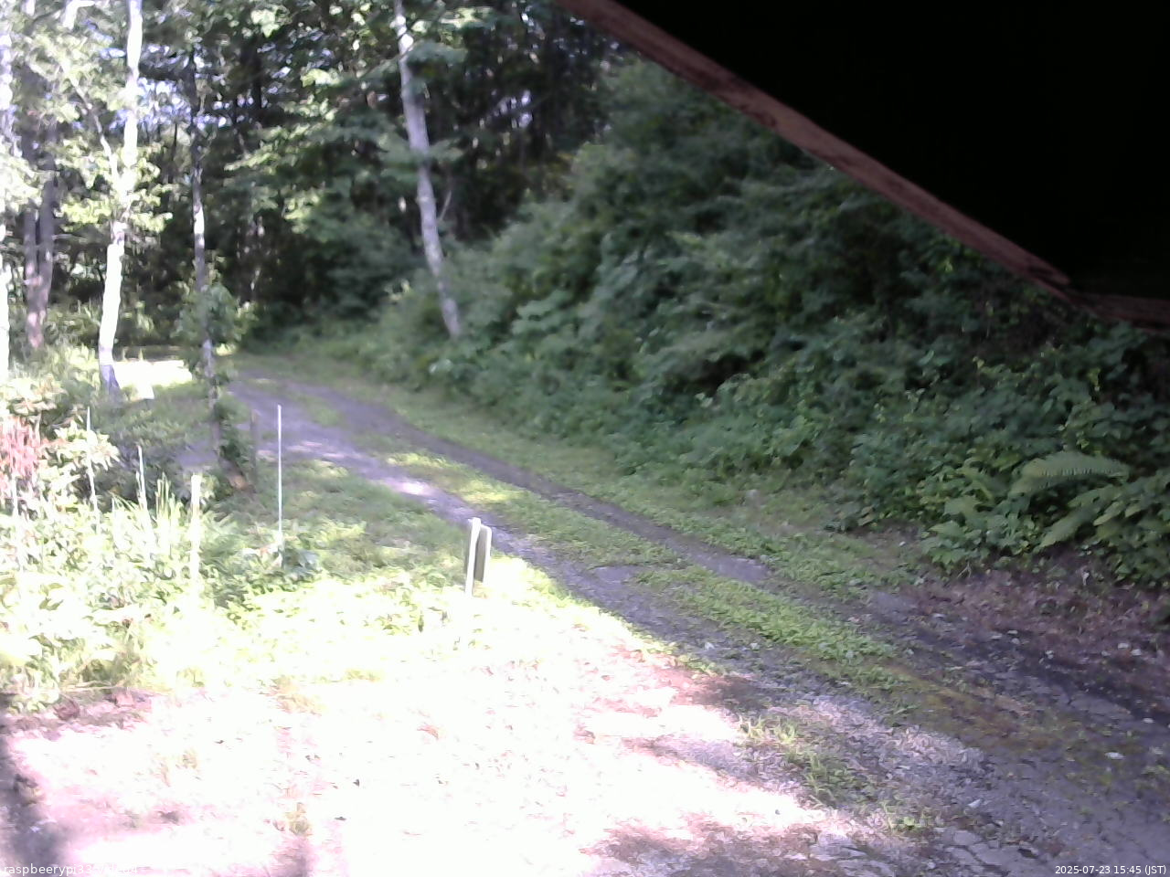 長野県菅平高原 ゆたか山荘 東側(坂下) 2025/07/23 15:45