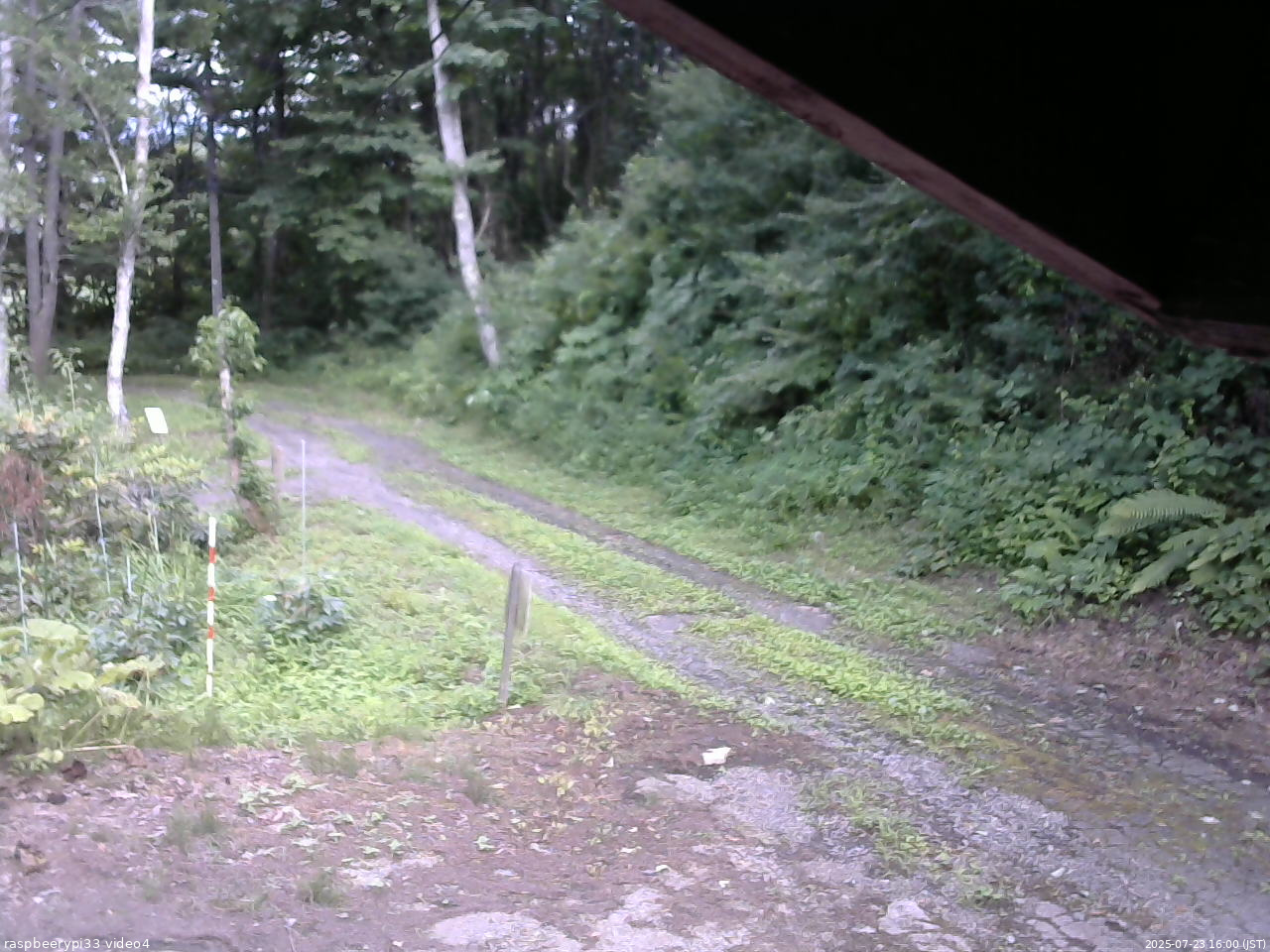 長野県菅平高原 ゆたか山荘 東側(坂下) 2025/07/23 16:00