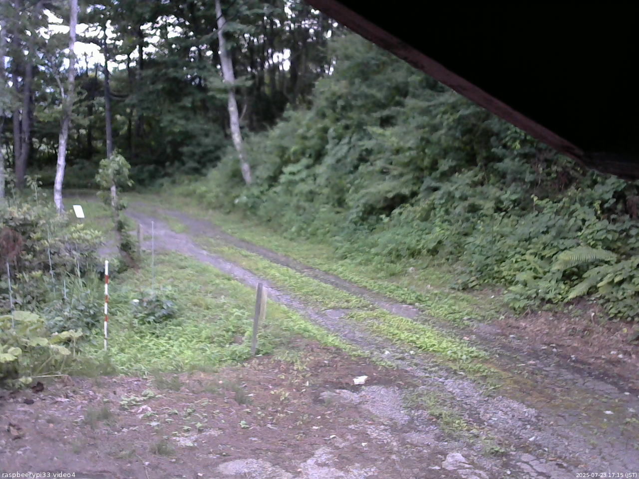 長野県菅平高原 ゆたか山荘 東側(坂下) 2025/07/23 17:15