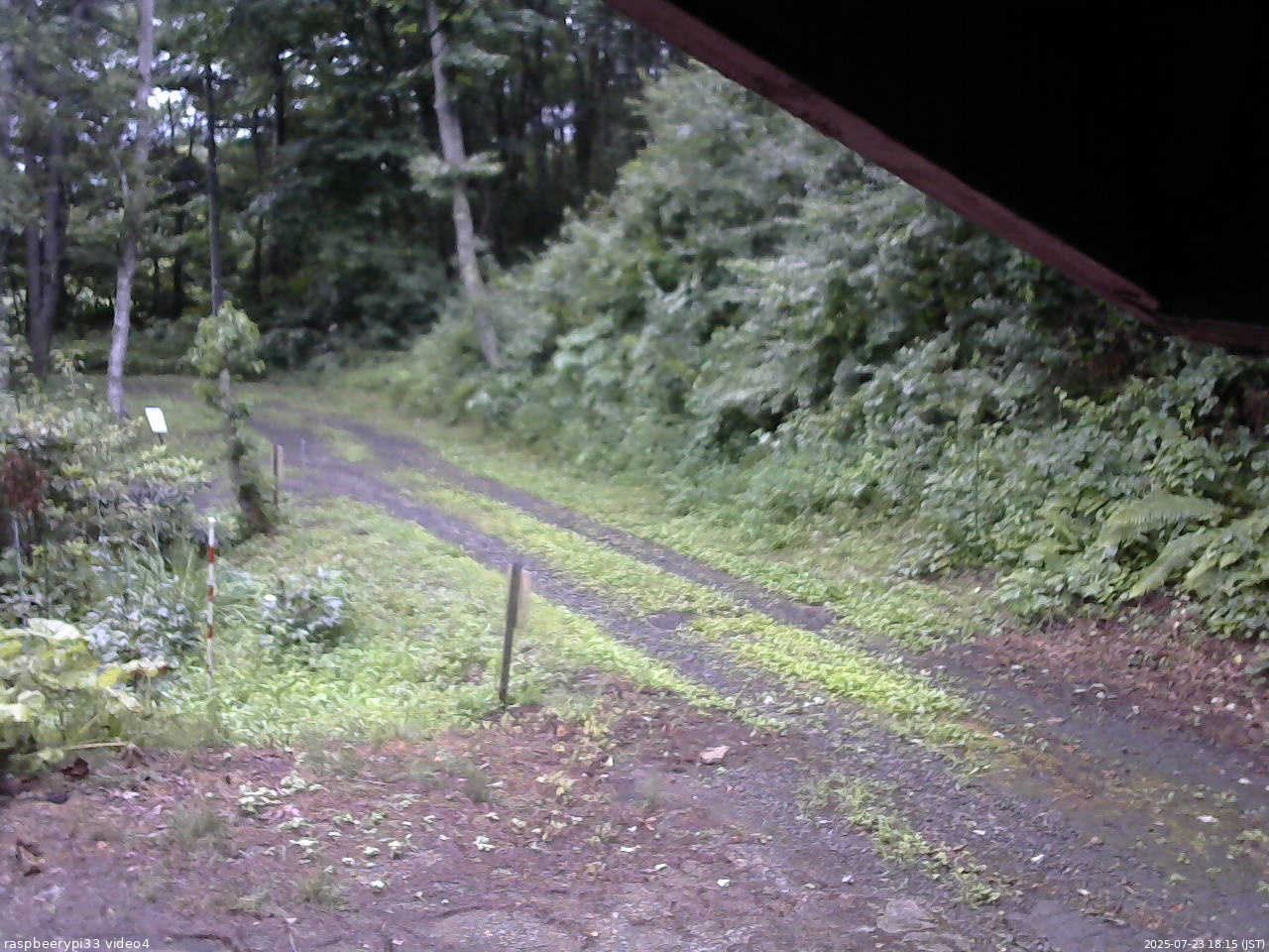長野県菅平高原 ゆたか山荘 東側(坂下) 2025/07/23 18:15