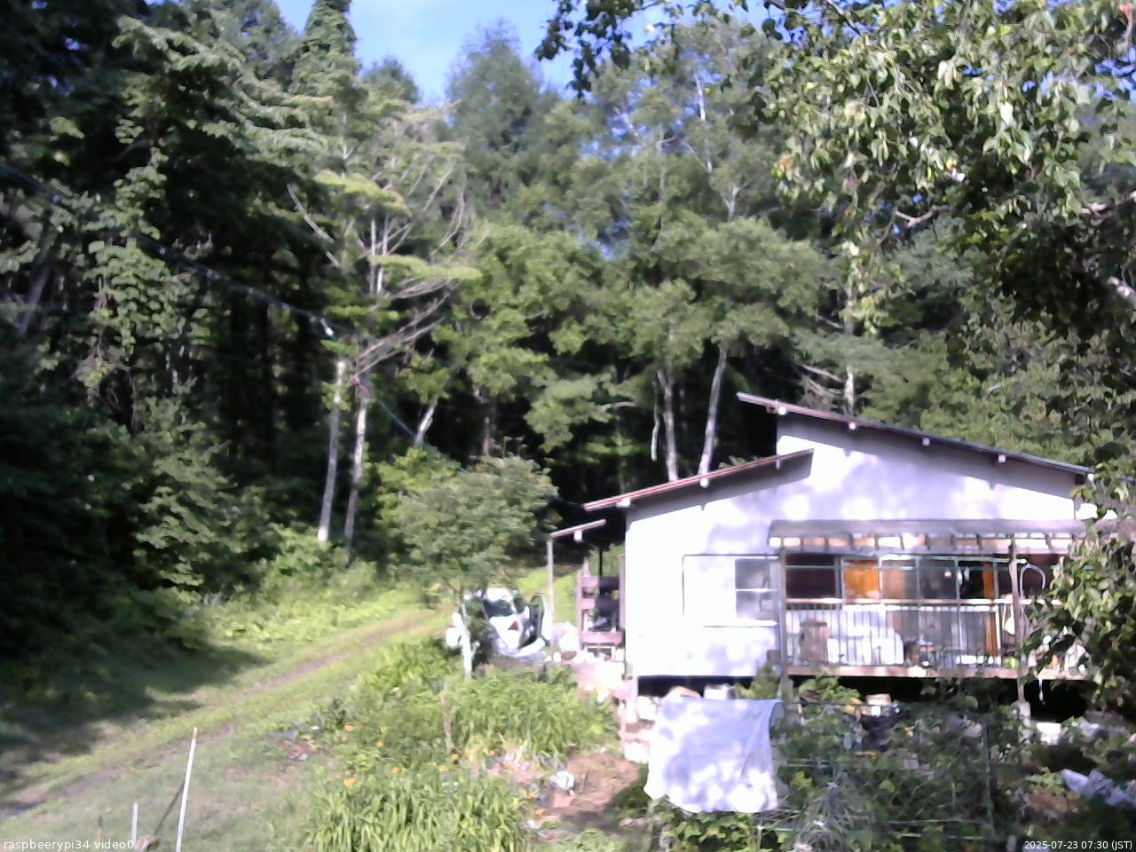 長野県菅平高原 ゆたか山荘 西側(坂上) 2025/07/23 07:30