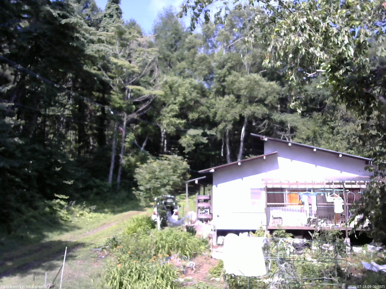 長野県菅平高原 ゆたか山荘 西側(坂上) 2025/07/23 09:00