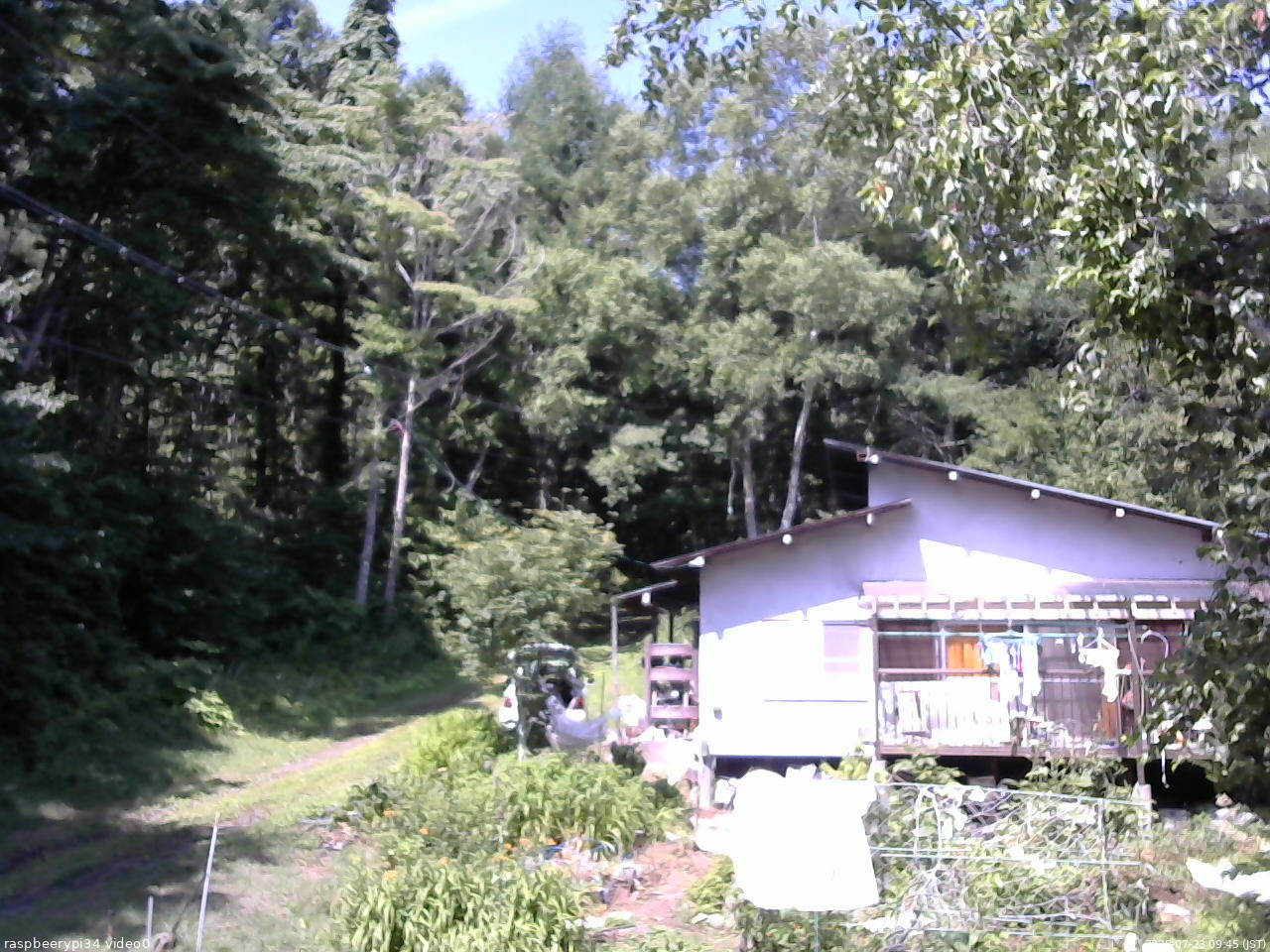 長野県菅平高原 ゆたか山荘 西側(坂上) 2025/07/23 09:45