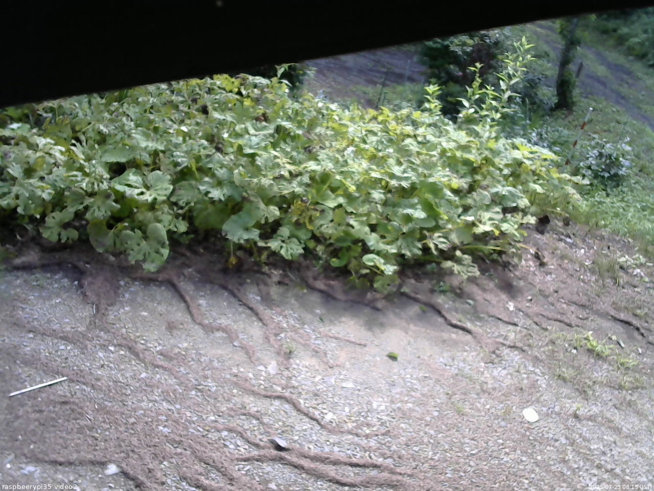 長野県菅平高原 ゆたか山荘 駐車場 2025/07/23 08:15
