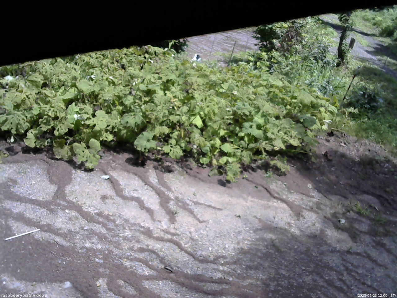 長野県菅平高原 ゆたか山荘 駐車場 2025/07/23 12:00