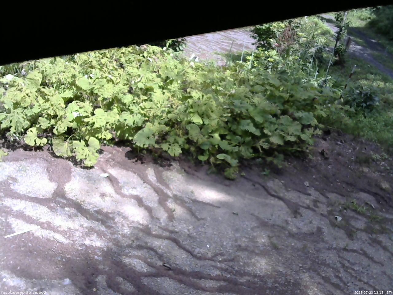 長野県菅平高原 ゆたか山荘 駐車場 2025/07/23 13:15