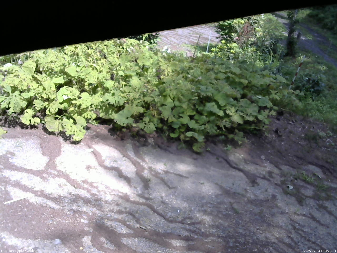 長野県菅平高原 ゆたか山荘 駐車場 2025/07/23 13:45