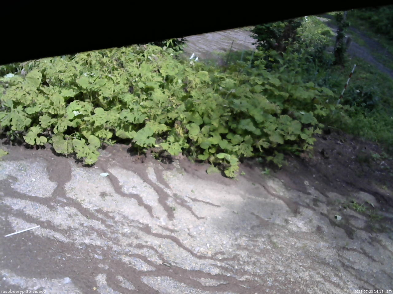 長野県菅平高原 ゆたか山荘 駐車場 2025/07/23 14:15