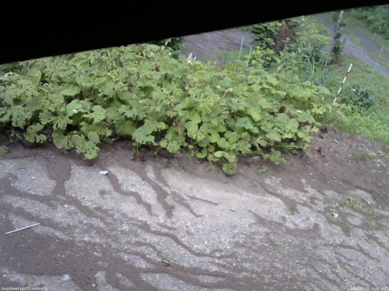 長野県菅平高原 ゆたか山荘 駐車場 2025/07/23 14:45