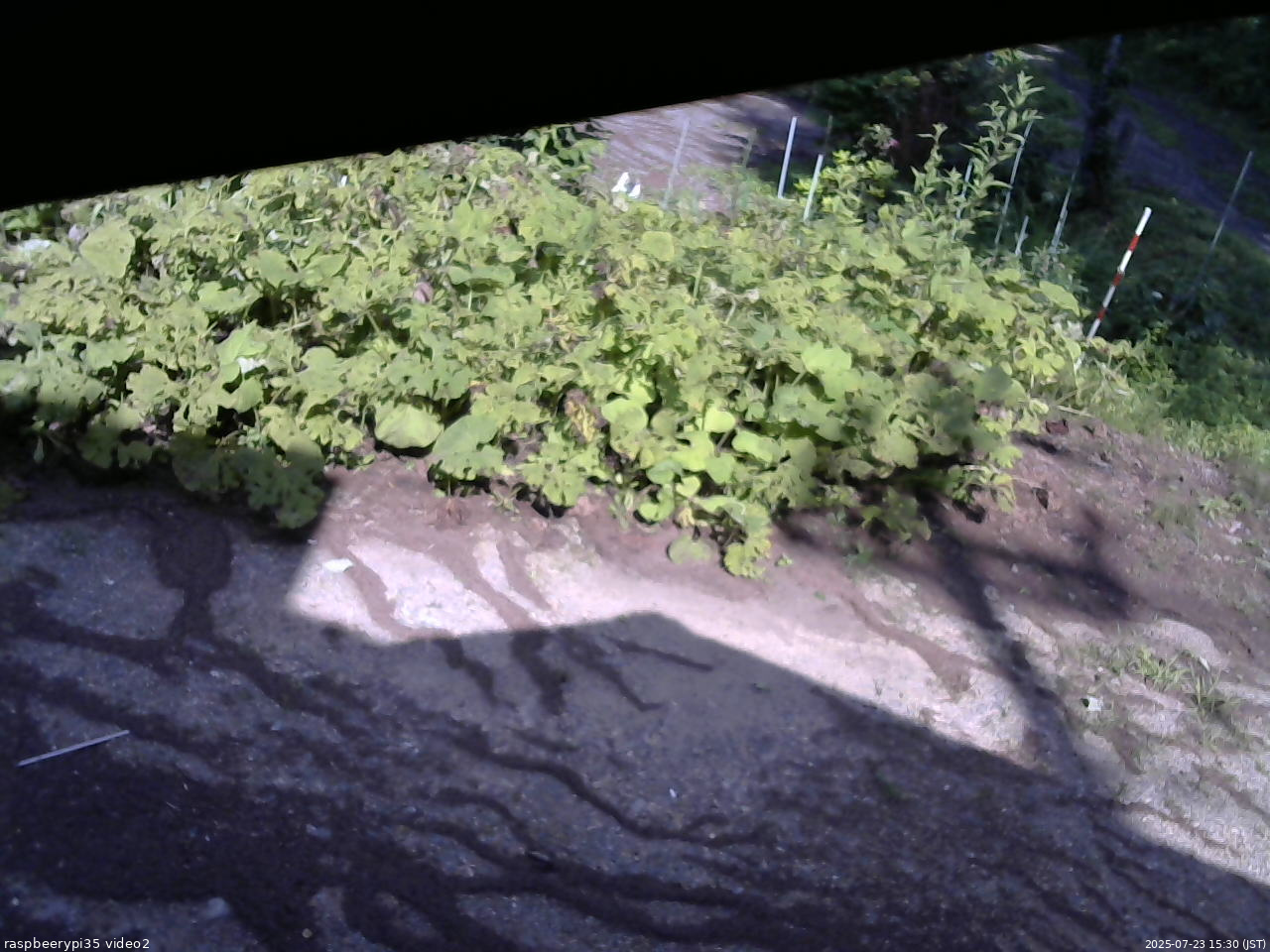 長野県菅平高原 ゆたか山荘 駐車場 2025/07/23 15:30