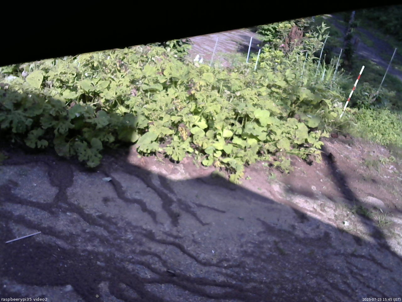 長野県菅平高原 ゆたか山荘 駐車場 2025/07/23 15:45