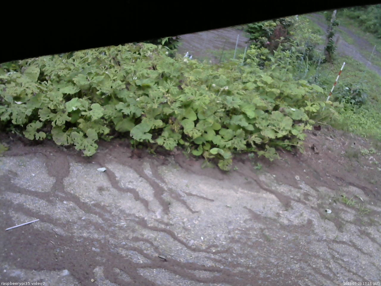長野県菅平高原 ゆたか山荘 駐車場 2025/07/23 17:15