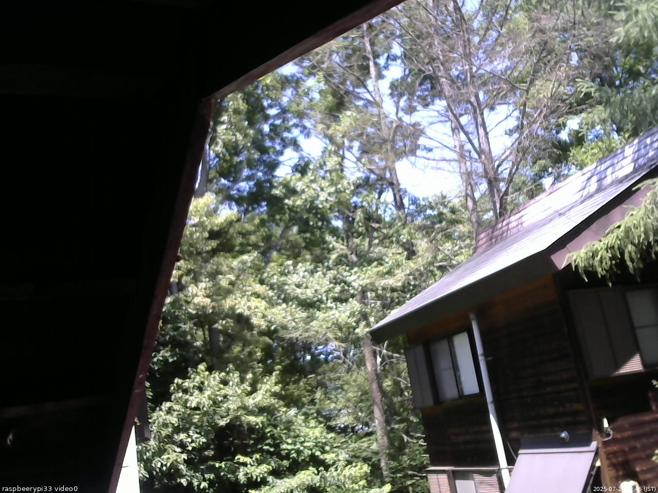 長野県菅平高原 ゆたか山荘 北側 2025/07/24 12:45