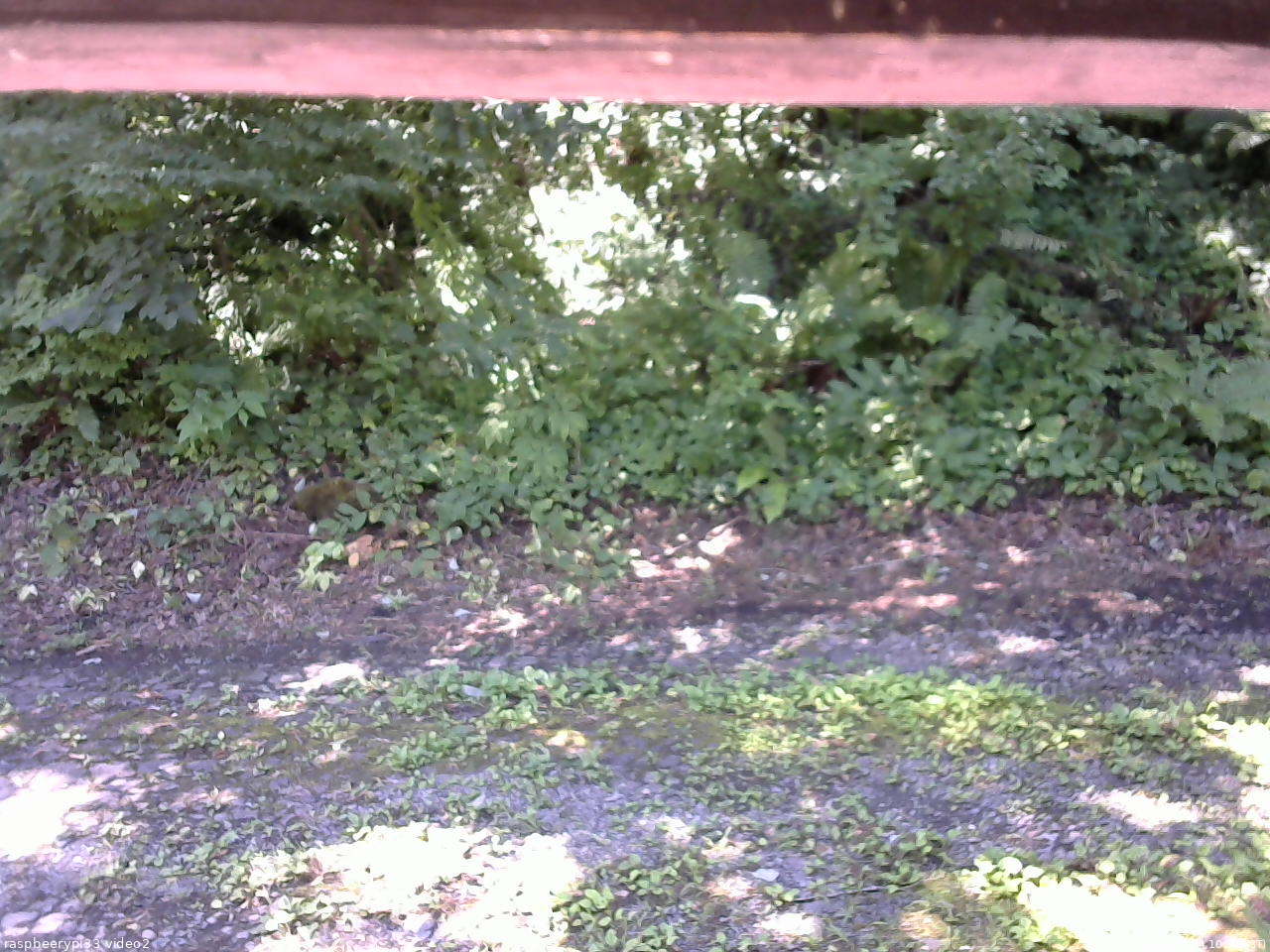 長野県菅平高原 ゆたか山荘 南側 2025/07/24 10:30
