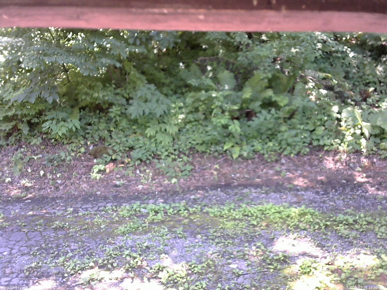 長野県菅平高原 ゆたか山荘 南側 2025/07/24 11:30