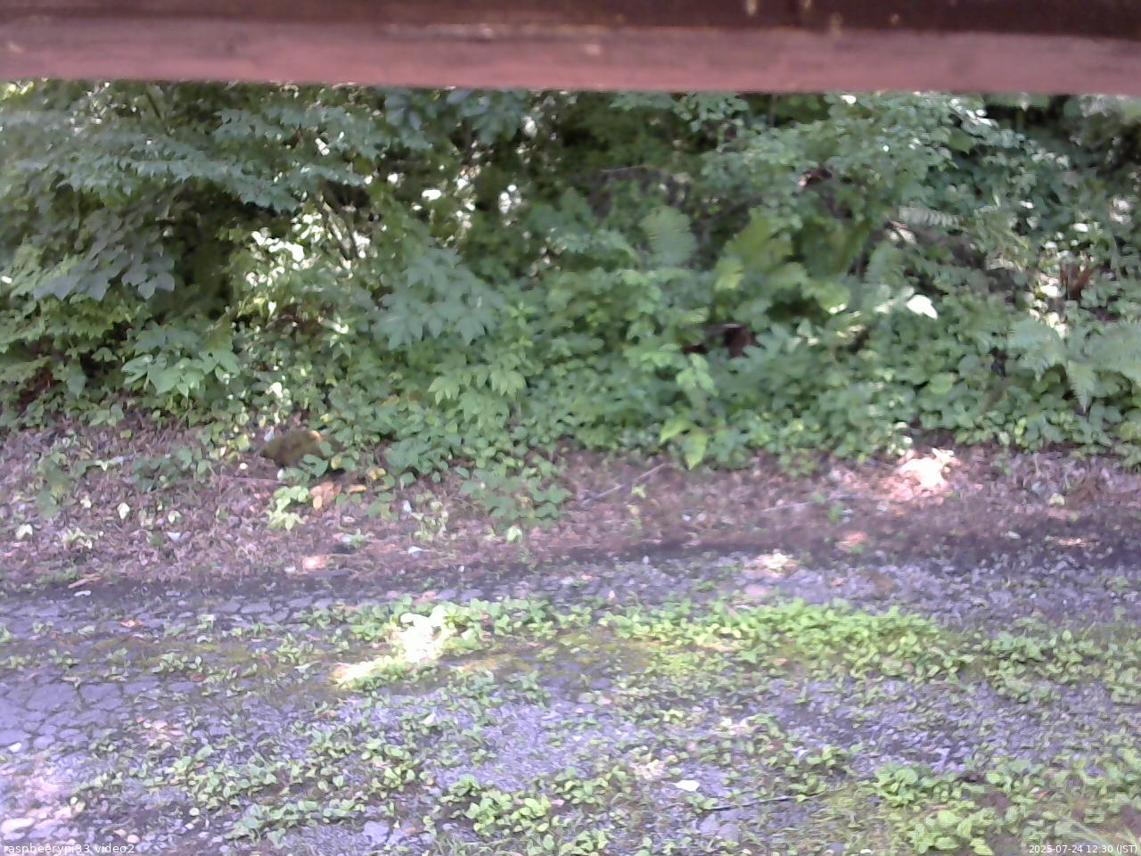 長野県菅平高原 ゆたか山荘 南側 2025/07/24 12:30