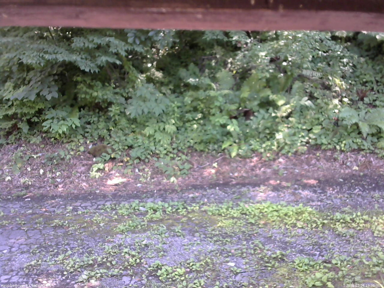 長野県菅平高原 ゆたか山荘 南側 2025/07/24 13:30