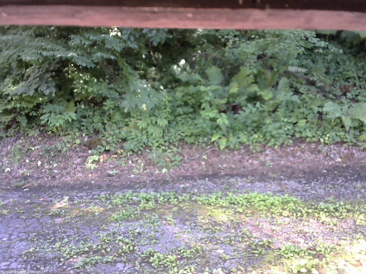 長野県菅平高原 ゆたか山荘 南側 2025/07/24 14:15