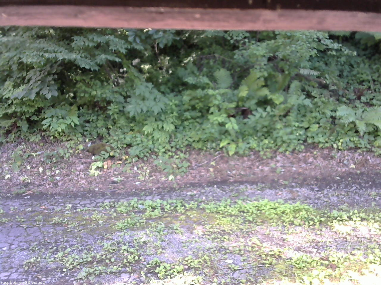 長野県菅平高原 ゆたか山荘 南側 2025/07/24 14:30