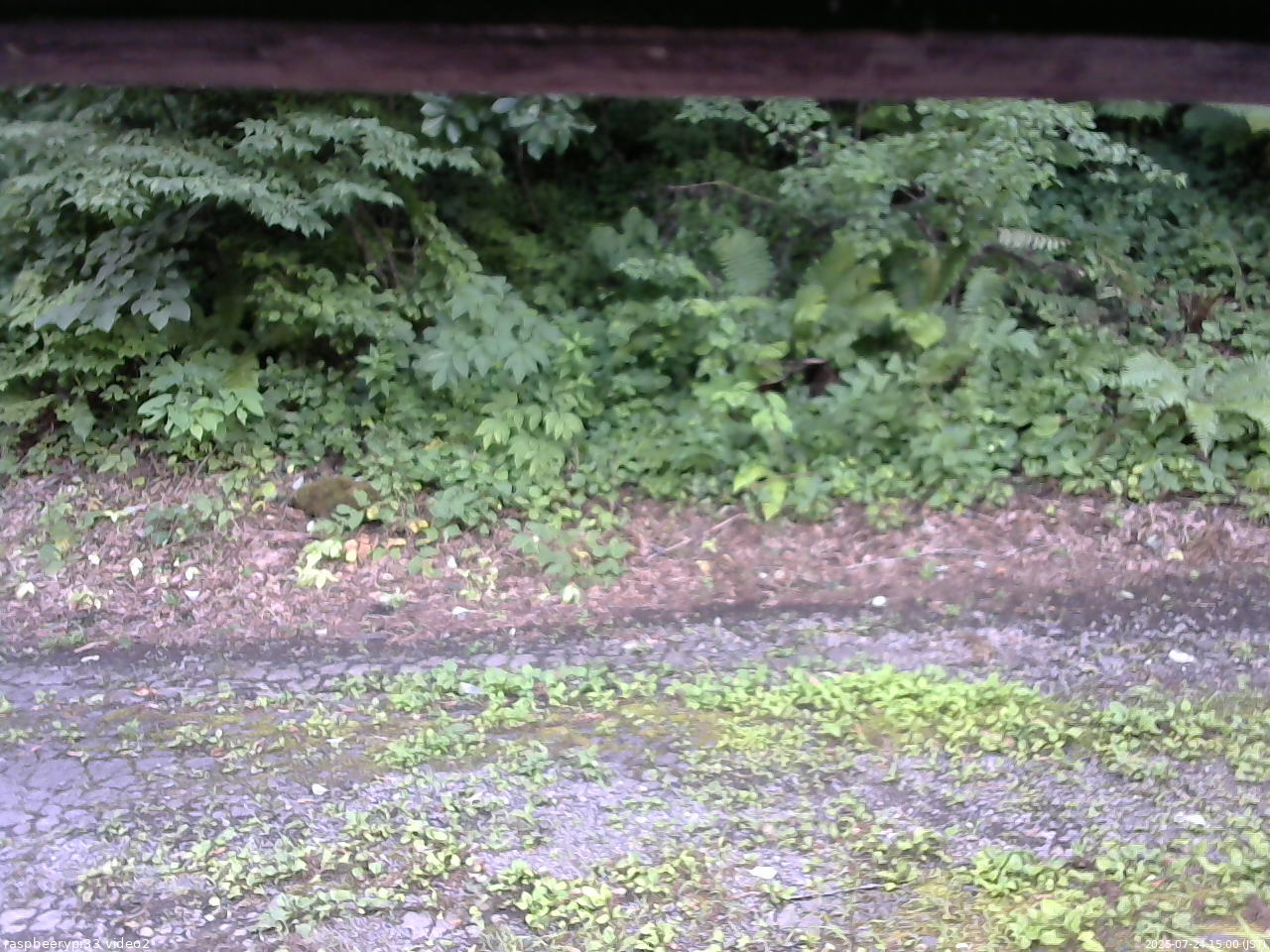 長野県菅平高原 ゆたか山荘 南側 2025/07/24 15:00