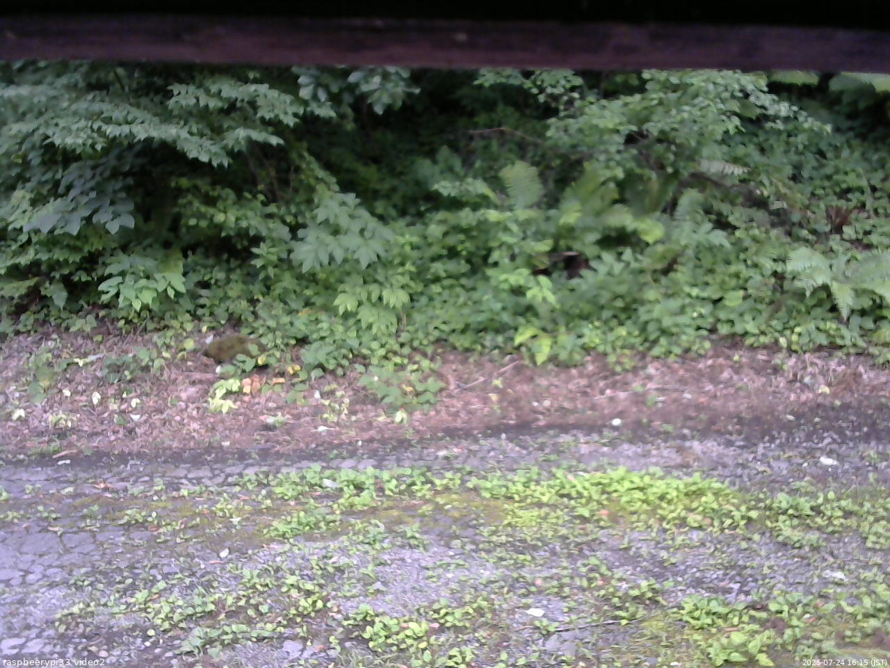 長野県菅平高原 ゆたか山荘 南側 2025/07/24 16:15