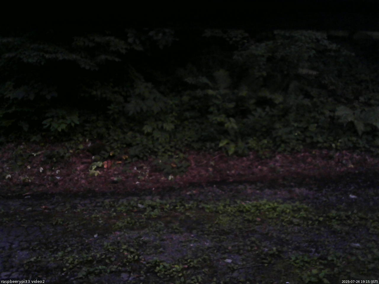 長野県菅平高原 ゆたか山荘 南側 2025/07/24 19:15