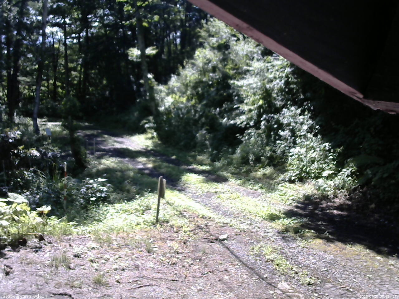 長野県菅平高原 ゆたか山荘 東側(坂下) 2025/07/24 08:45