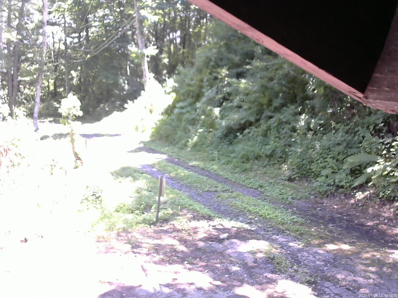 長野県菅平高原 ゆたか山荘 東側(坂下) 2025/07/24 11:30