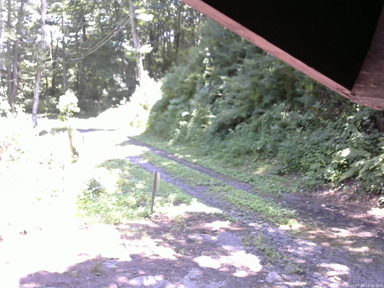 長野県菅平高原 ゆたか山荘 東側(坂下) 2025/07/24 11:45