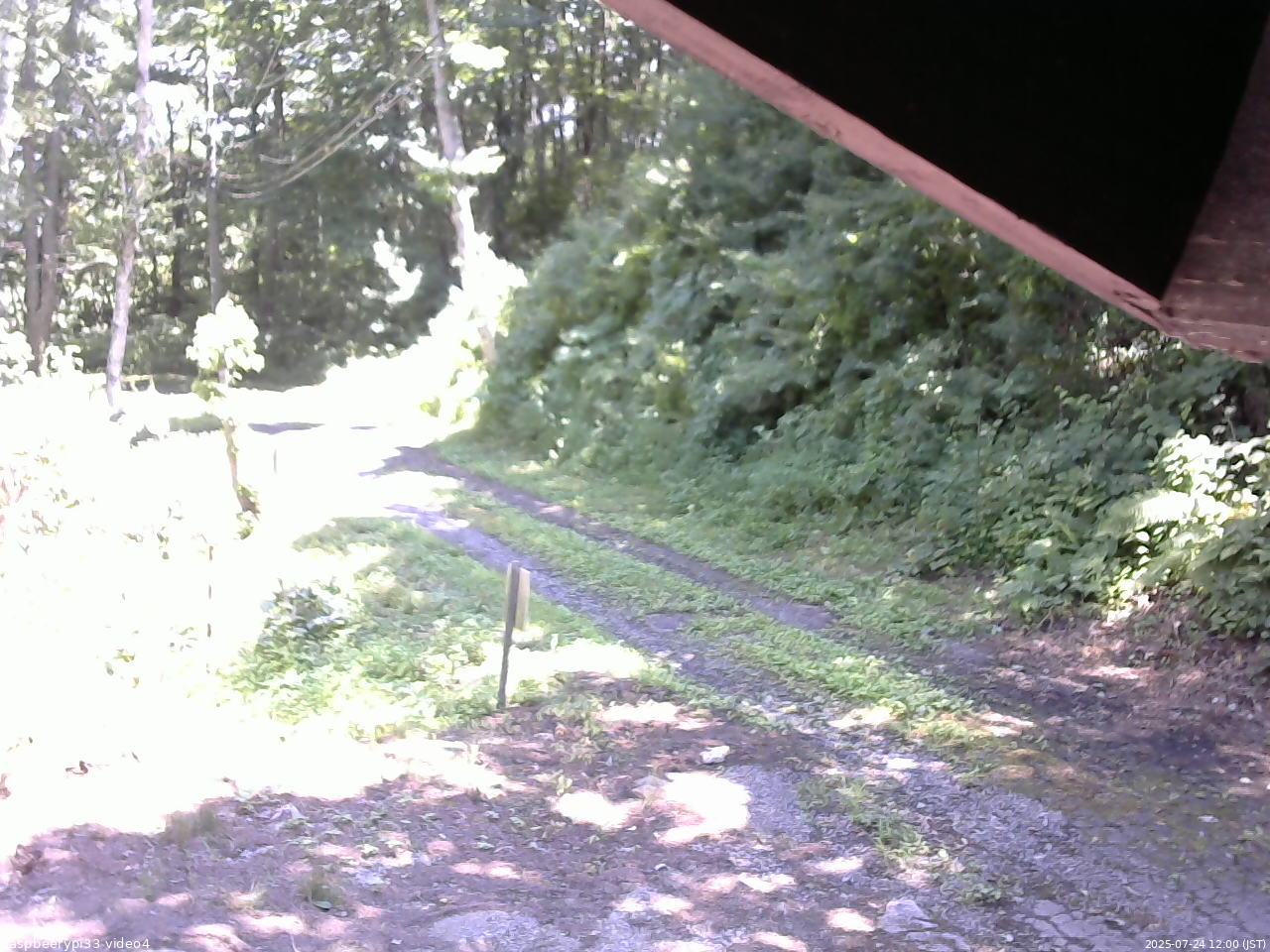 長野県菅平高原 ゆたか山荘 東側(坂下) 2025/07/24 12:00