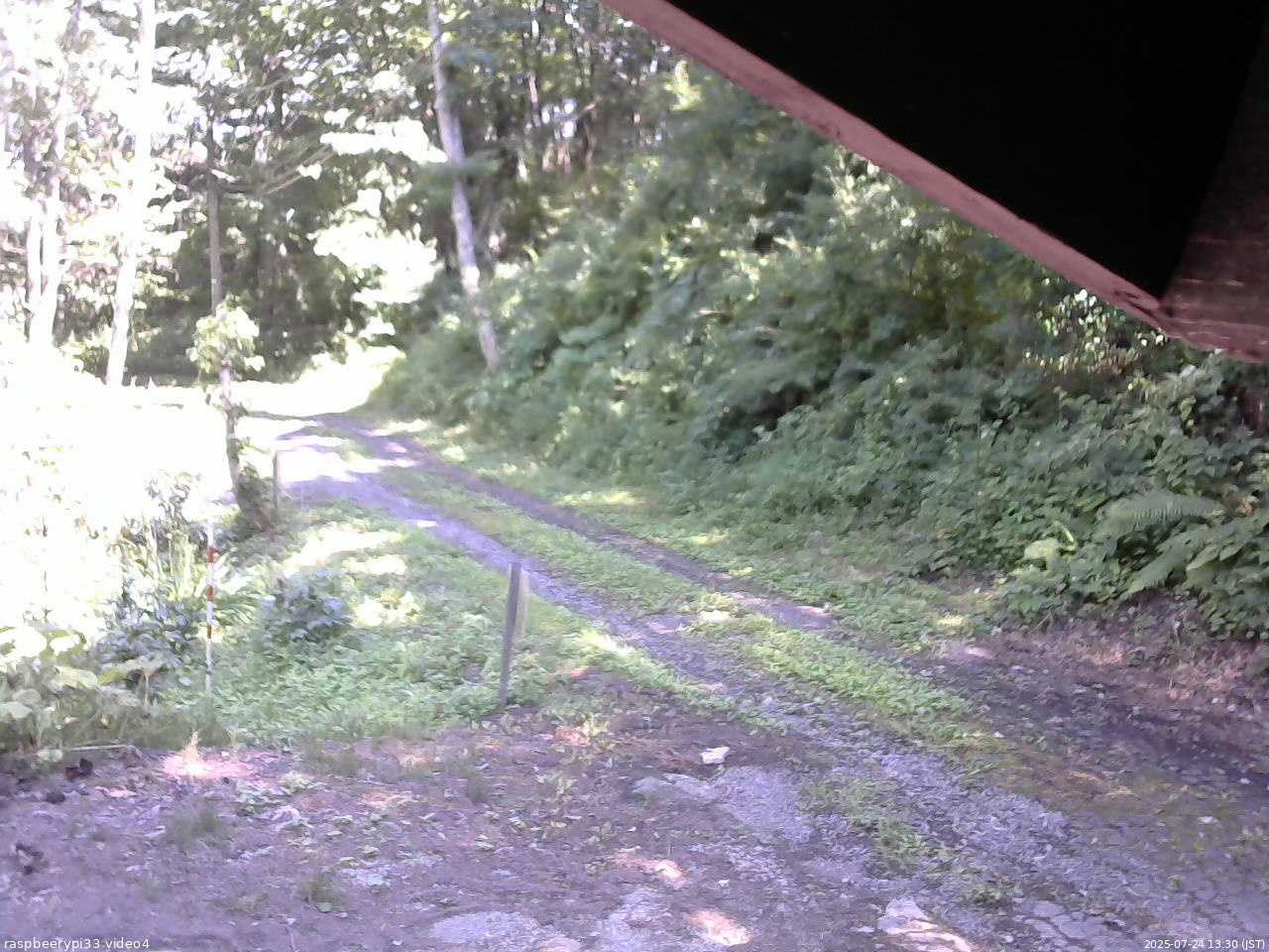 長野県菅平高原 ゆたか山荘 東側(坂下) 2025/07/24 13:30