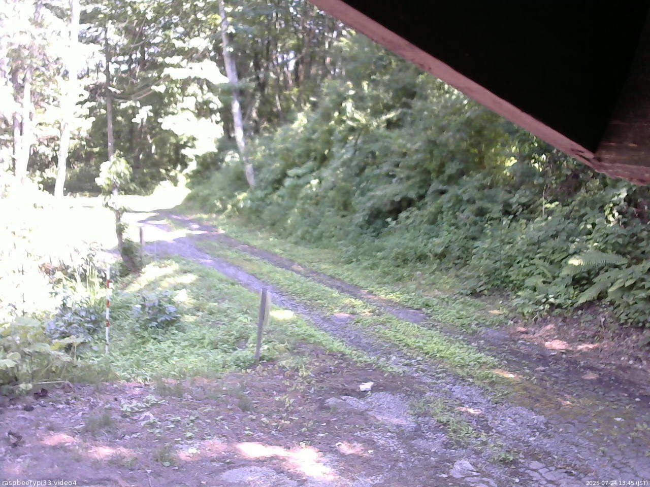長野県菅平高原 ゆたか山荘 東側(坂下) 2025/07/24 13:45