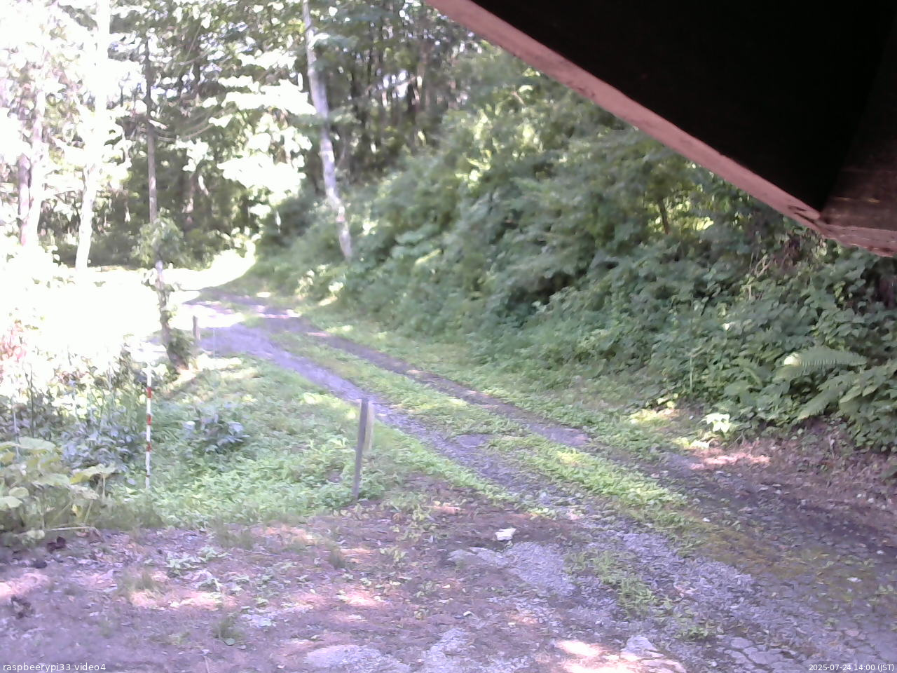 長野県菅平高原 ゆたか山荘 東側(坂下) 2025/07/24 14:00