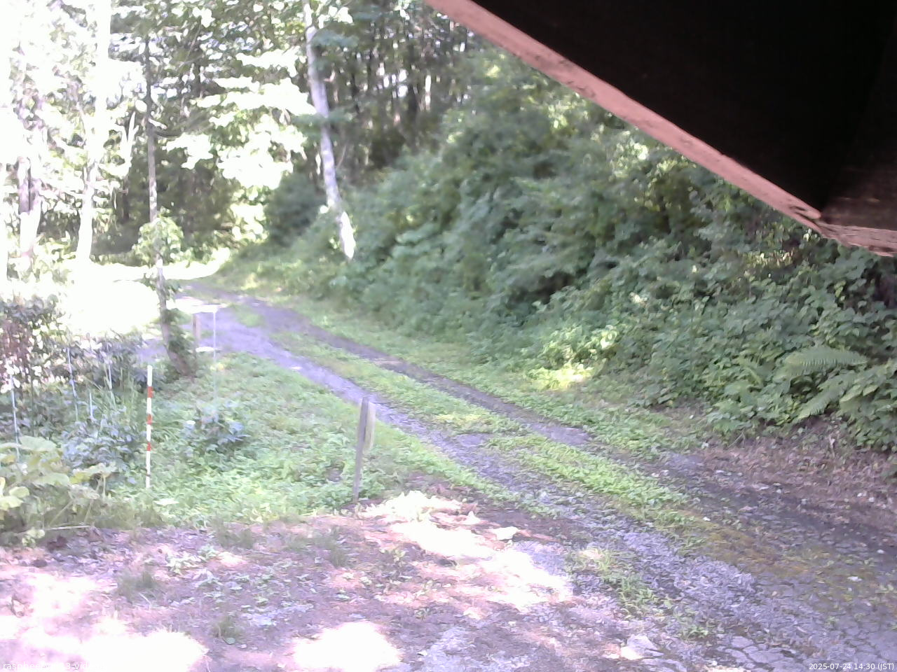 長野県菅平高原 ゆたか山荘 東側(坂下) 2025/07/24 14:30