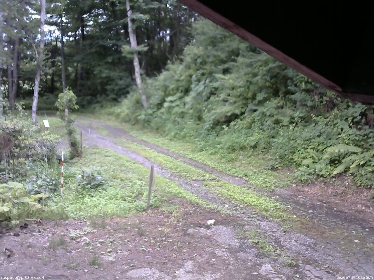 長野県菅平高原 ゆたか山荘 東側(坂下) 2025/07/24 15:30