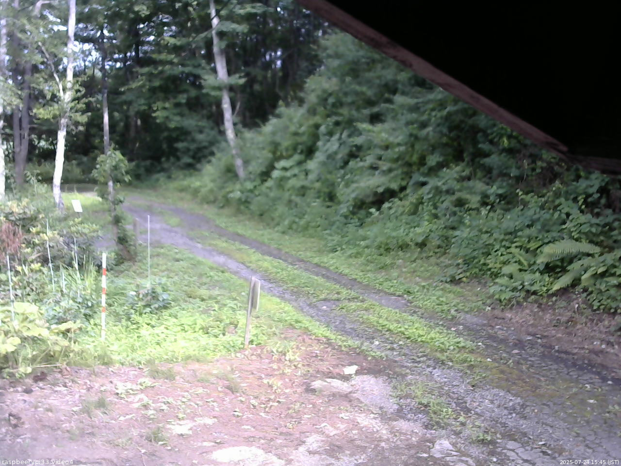 長野県菅平高原 ゆたか山荘 東側(坂下) 2025/07/24 15:45