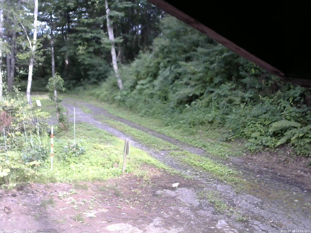 長野県菅平高原 ゆたか山荘 東側(坂下) 2025/07/24 16:00