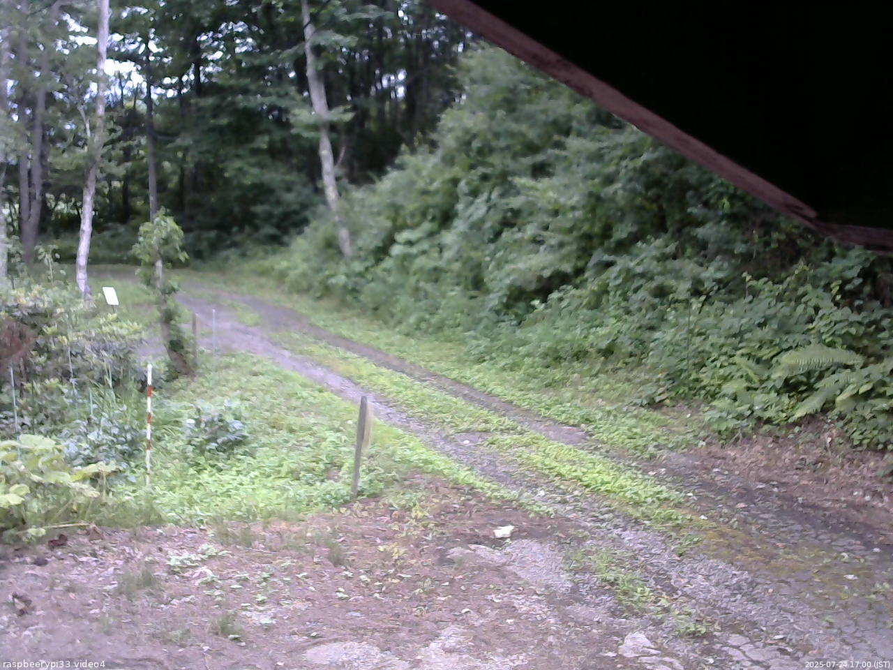 長野県菅平高原 ゆたか山荘 東側(坂下) 2025/07/24 17:00
