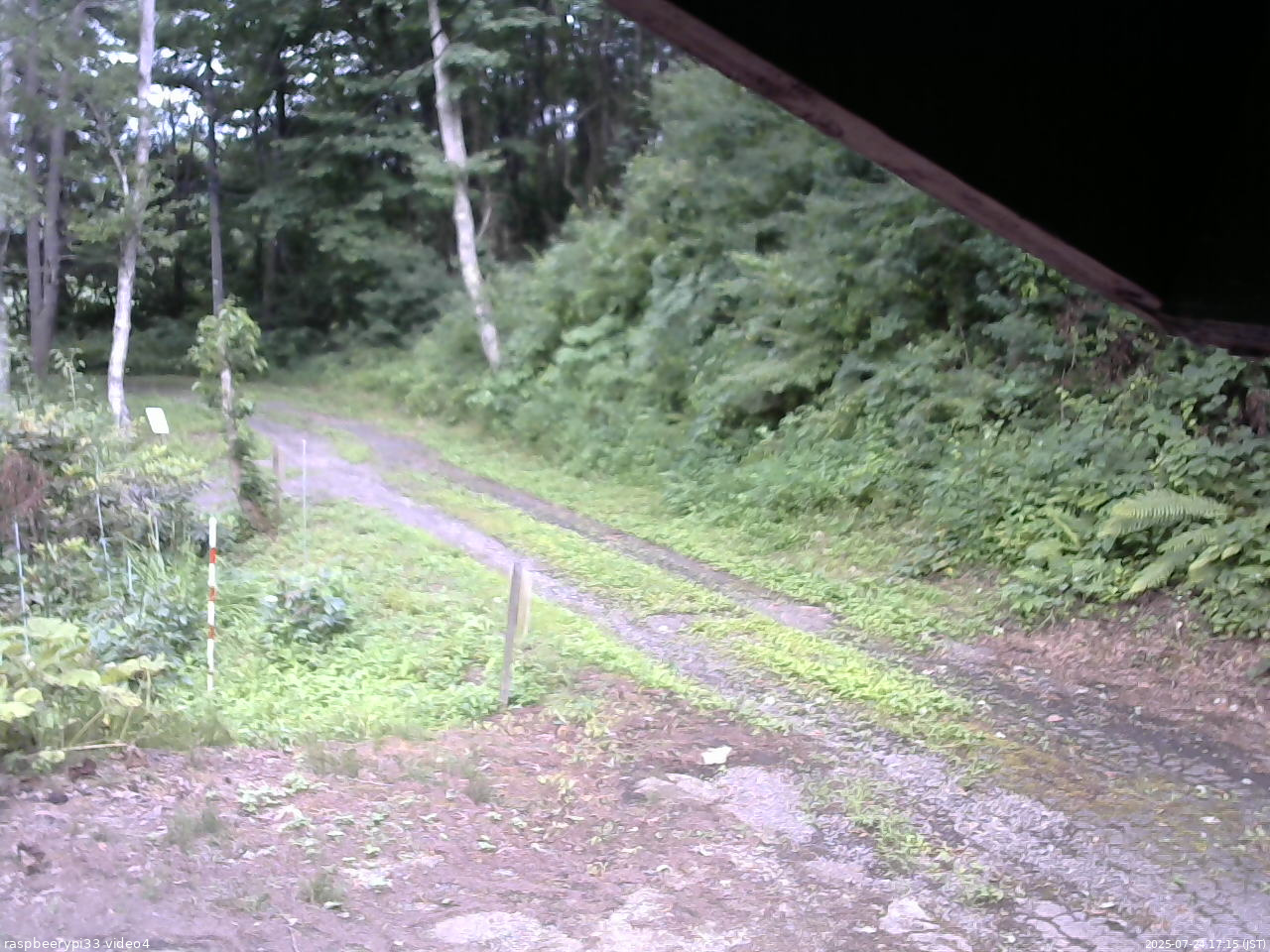 長野県菅平高原 ゆたか山荘 東側(坂下) 2025/07/24 17:15