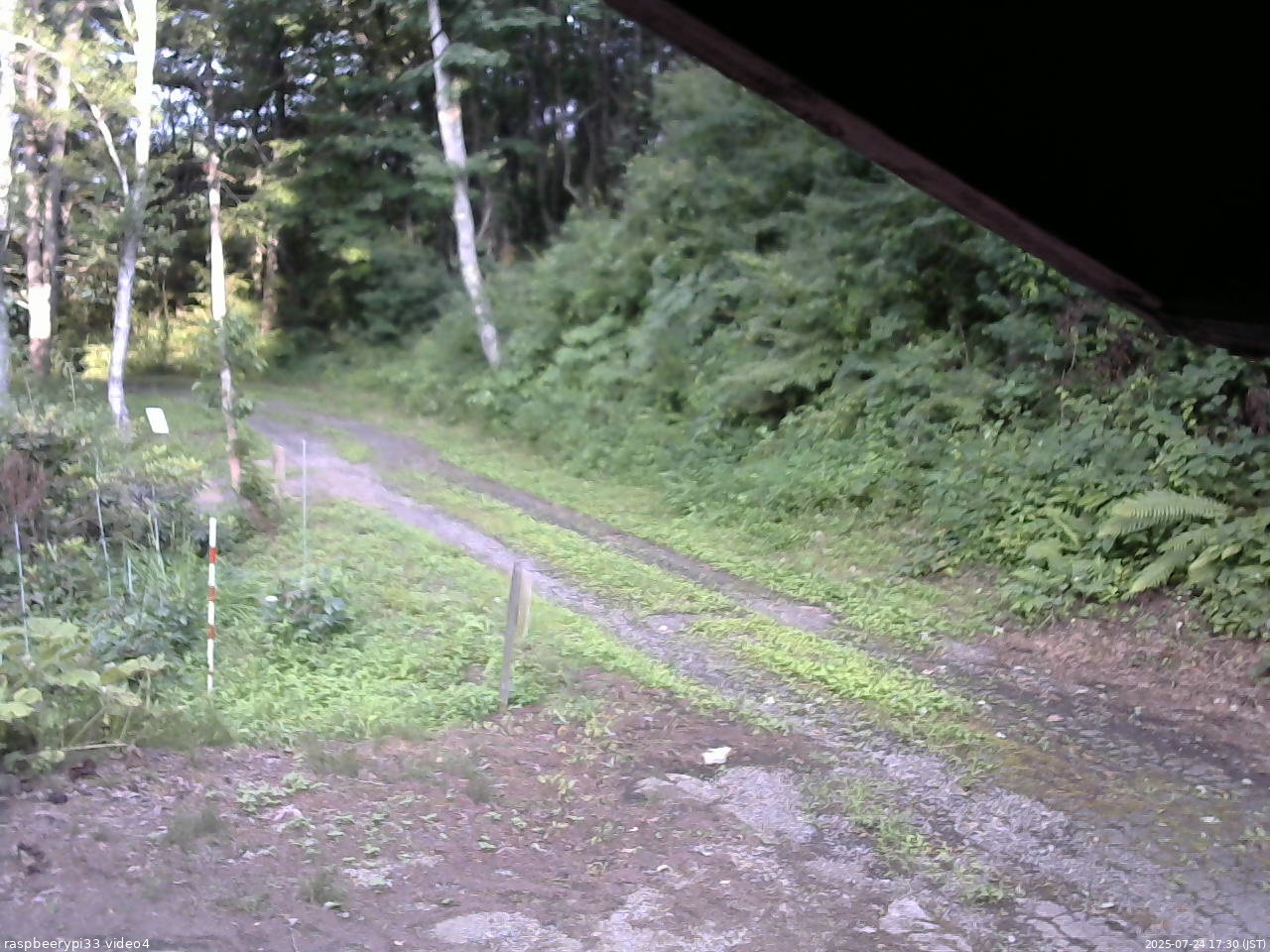 長野県菅平高原 ゆたか山荘 東側(坂下) 2025/07/24 17:30