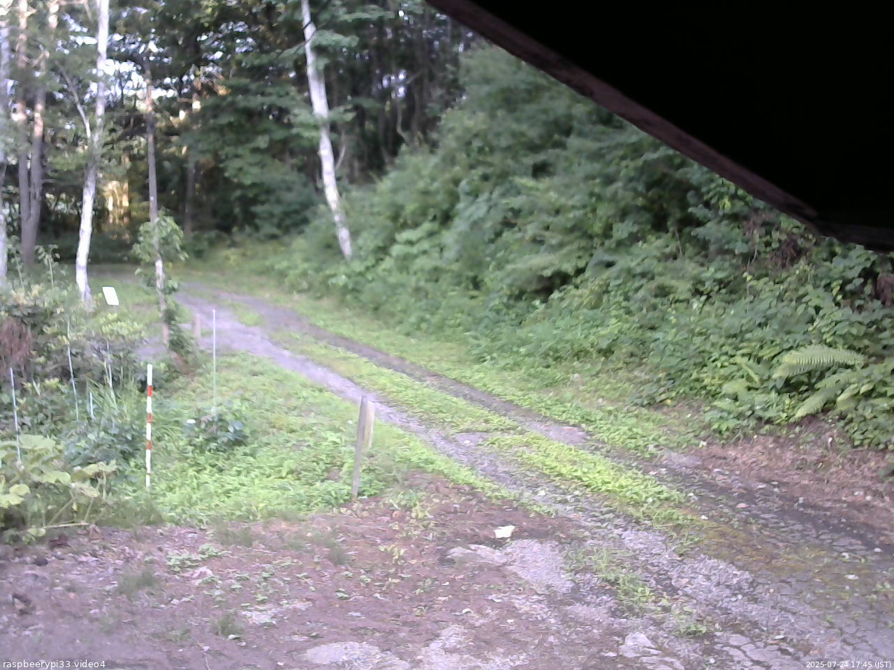 長野県菅平高原 ゆたか山荘 東側(坂下) 2025/07/24 17:45