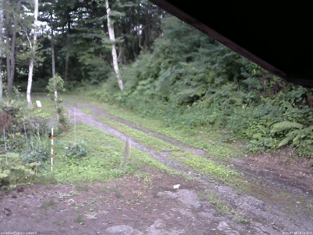 長野県菅平高原 ゆたか山荘 東側(坂下) 2025/07/24 18:15