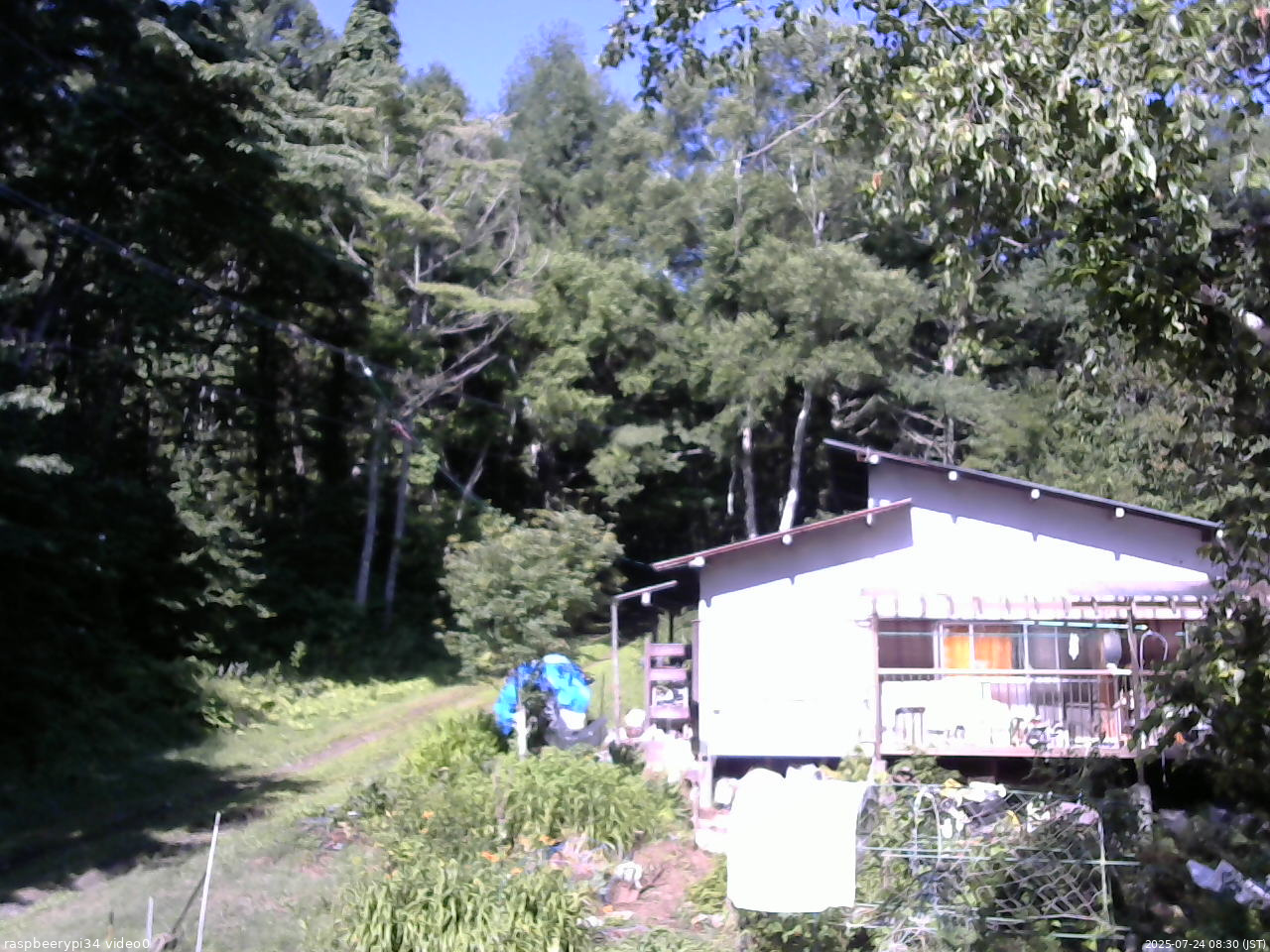 長野県菅平高原 ゆたか山荘 西側(坂上) 2025/07/24 08:30