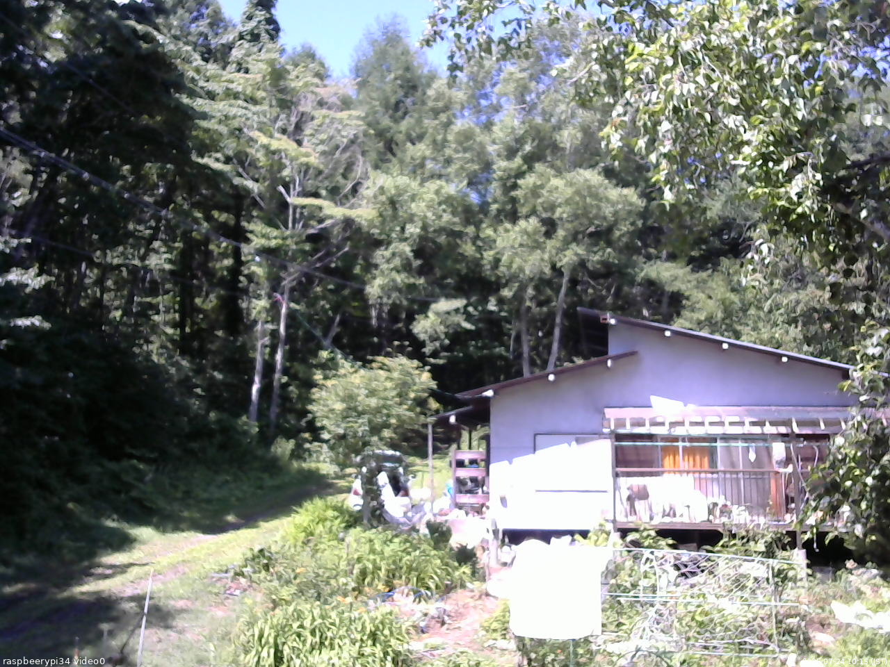 長野県菅平高原 ゆたか山荘 西側(坂上) 2025/07/24 10:15