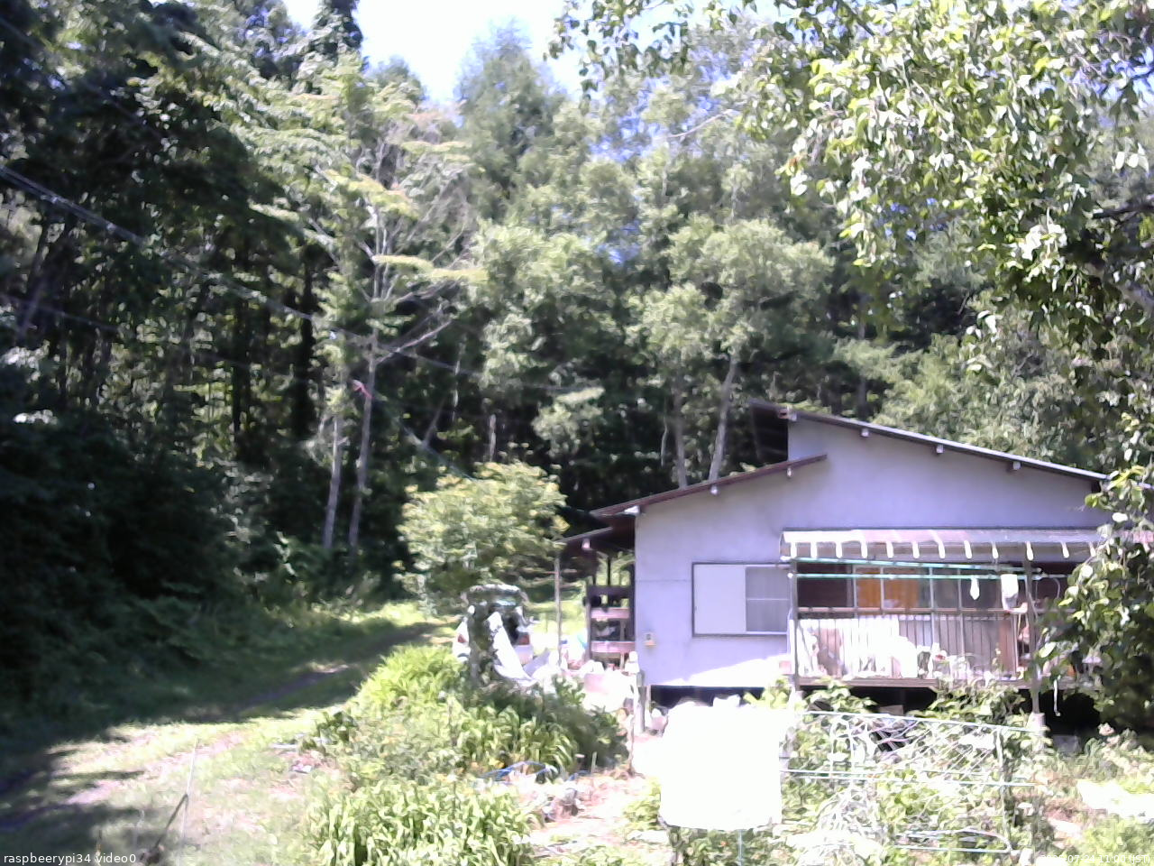 長野県菅平高原 ゆたか山荘 西側(坂上) 2025/07/24 11:00